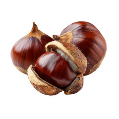 Chestnuts in shell. Isolated white background. Png format