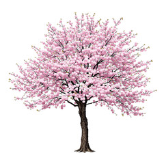 Obraz premium Stunning cherry blossom tree blooming with delicate pink flowers, captured in full splendor, symbolizing the arrival of spring, renewal, and natural elegance, isolated on white