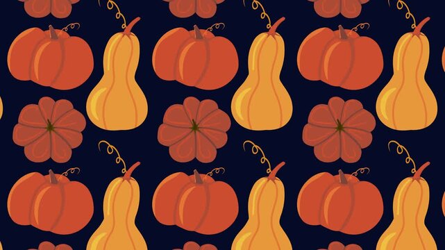 Animated pattern of pumpkins and squash arranged in rows on a dark blue background. Looping autumn pumpkin motif for Halloween or fall backgrounds.