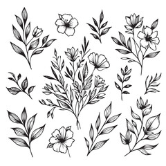 Collection of hand drawn botanical elements featuring delicate flowers and leaves for artistic designs vector