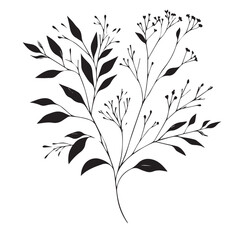 Elegant black botanical branch with leaves and berries artistic design vector