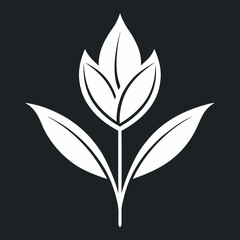 solomons seal false white