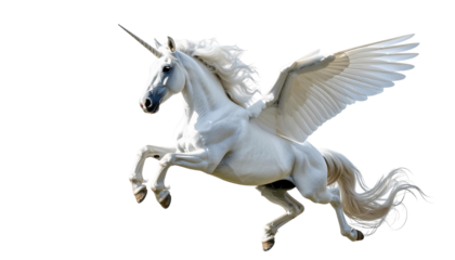 flying unicorn , isolated on white background, transparent PNG,