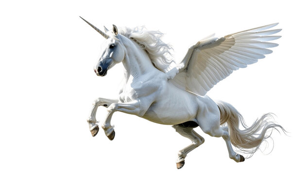 flying unicorn , isolated on white background, transparent PNG,