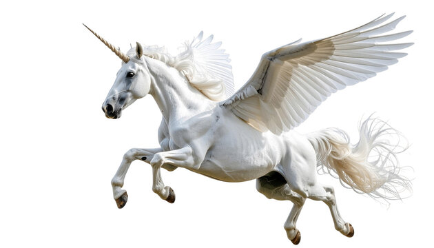 flying unicorn , isolated on white background, transparent PNG,