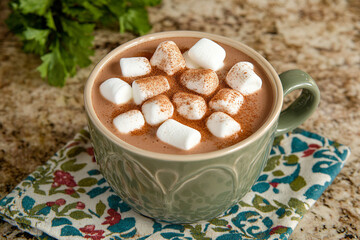 Warm cup of cocoa topped with fluffy marshmallows and a sprinkle of cinnamon on a cozy afternoon
