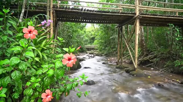 Tranquil bamboo bridge over stream