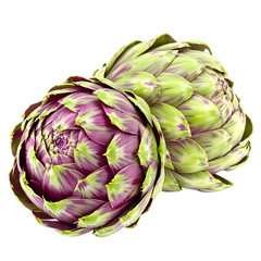 Obraz premium Two Fresh Artichokes with Green and Purple Hues, Isolated on a White Background, Ready for Culinary Use