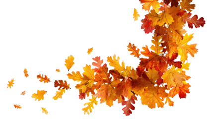 Decorative autumn frame with crimson, amber, and rust-colored leaves forming a corner arrangement, isolated on transparent background.
