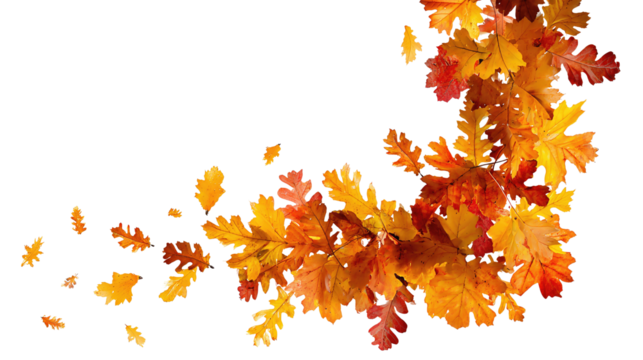 Decorative autumn frame with crimson, amber, and rust-colored leaves forming a corner arrangement, isolated on transparent background.
