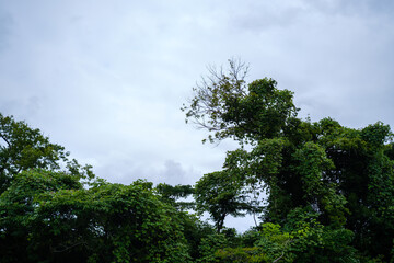 Obraz premium 散歩の途中で見つけた光景