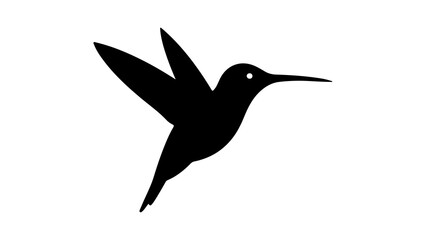 Hummingbird in flight with transparent background