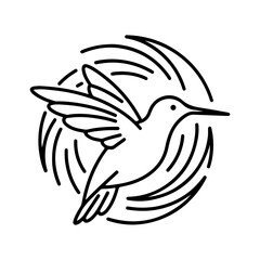 Hummingbird in flight with transparent background