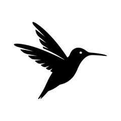 Hummingbird in flight with transparent background