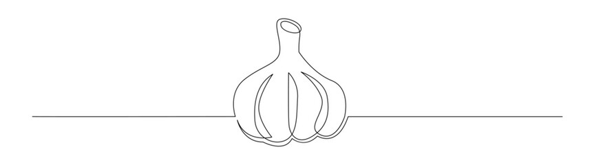 Single Line Art of Garlic Bulb