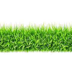 Vibrant Green Grass Border Isolated on White Background for Natural and Fresh Designs
