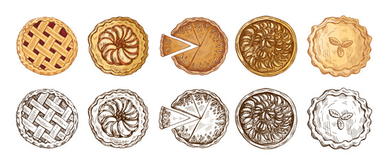 Hand drawn vintage sketch set of assorted sweet pies and tarts with lattice crust, sliced and whole illustrations