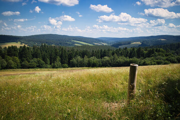 A field of grass with a post in the middle