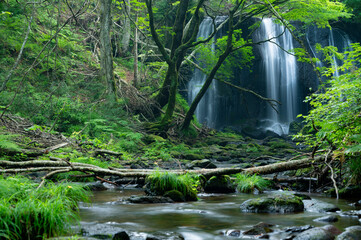 達沢不動滝