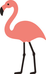 Minimalist Flat Flamingo Illustration Standing Gracefully with Black Legs and Beak