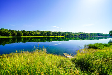 View of the Auwaldsee near Lauingen and the surrounding nature. Landscape around the idyllic lake.
