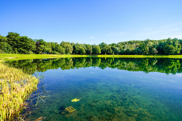 View of the Auwaldsee near Lauingen and the surrounding nature. Landscape around the idyllic lake.
