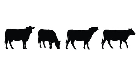 Four black cow silhouettes standing and grazing on white background