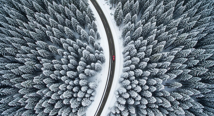 Red car driving on a snowy road surrounded by a dense pine forest in winter, aerial view