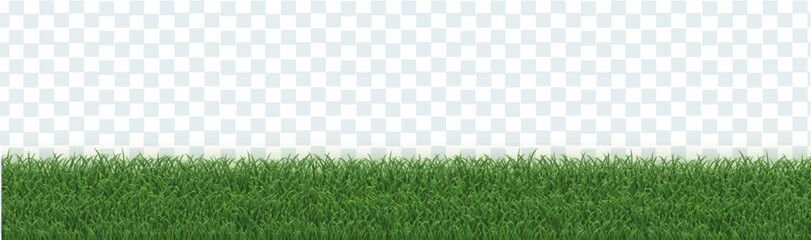 Grass Frame Border Isolated And Transparent Background