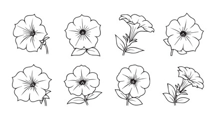 Collection of delicate petunia flower sketches in a distinctive silhouette style
