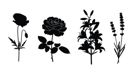 Collection of botanical silhouettes featuring poppies roses lilies and lavender © Alex