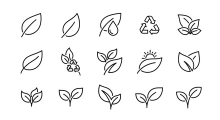 Collection of hand drawn leaf icons and eco symbols silhouette