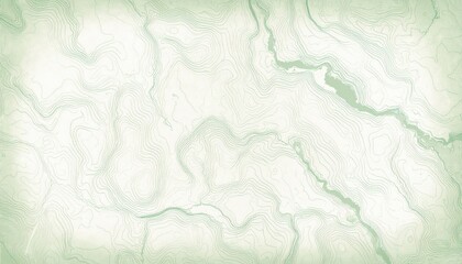 Obraz premium Sage Green Topographic Contour Lines Seamless Texture