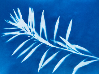 Small flowers in blue print background. Cyanotype illustration