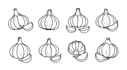 Collection of hand drawn garlic bulbs and cloves silhouette