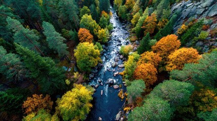 Serene river winding through colorful autumn forest.