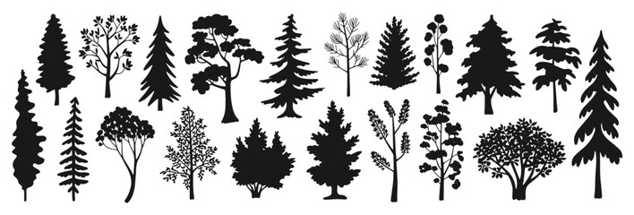 Pine tree silhouettes. Evergreen forest firs and spruces black shapes