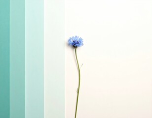 Blue Flower on Gradient Background