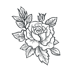  A hand-drawn sketch of a rose with leaves and a bud.