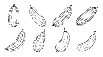 Collection of hand drawn cucumber silhouettes with detailed line art texture