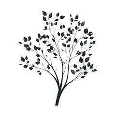 A tree with many leaves and bare branches.