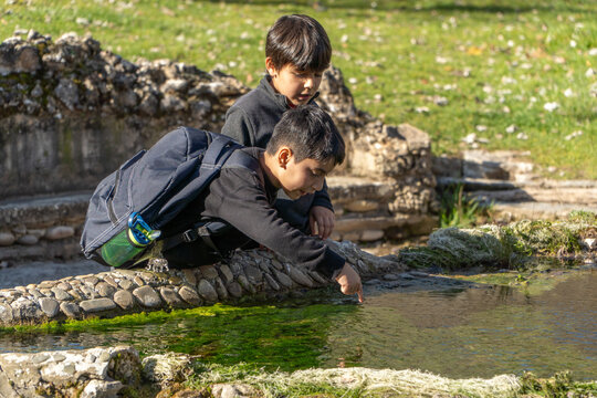 Elementary age kids exploring a pond on the nature showcasing the importance of environmental education in school