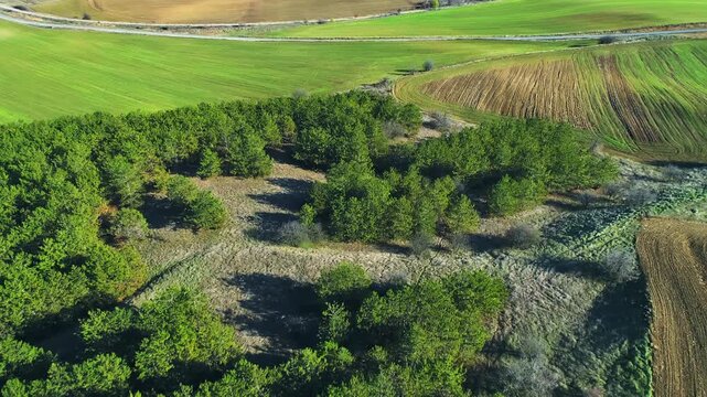 Beautiful nature, cultivated fields and forested area, view from above