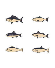 Obraz premium Set of fish