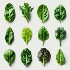 Fresh green leaves arranged in a grid pattern