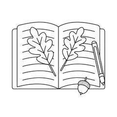 Open notebook with oak leaves and pencil line art open book pages