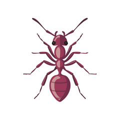 Single ant illustration insect arthropod nature wildlife biology pest control