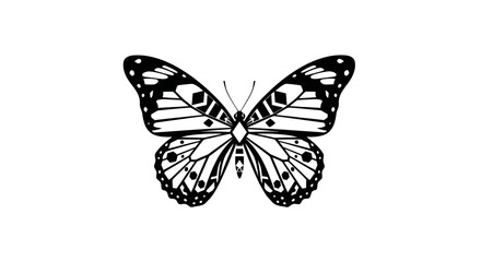 Intricate butterfly illustration featuring geometric and organic wing patterns in stark monochrome