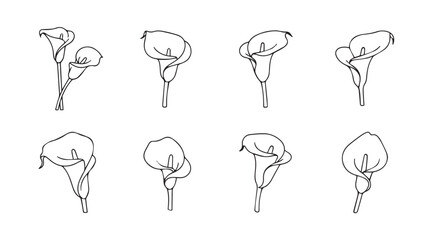 Collection of eight distinct calla lily flower sketches in a silhouette style © Tanvir