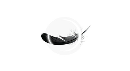Monochrome feather artwork floating within a soft circle on a white backdrop
